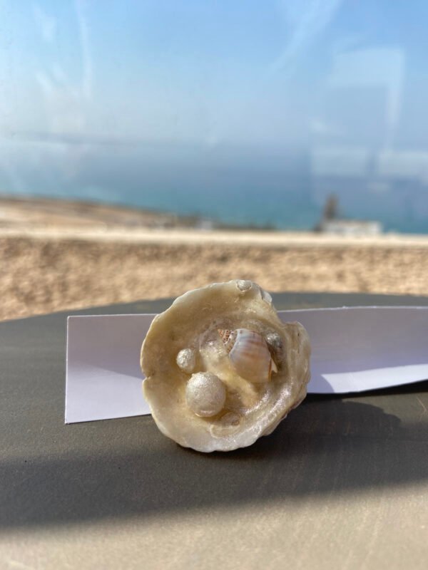 Shells on Shells Ring